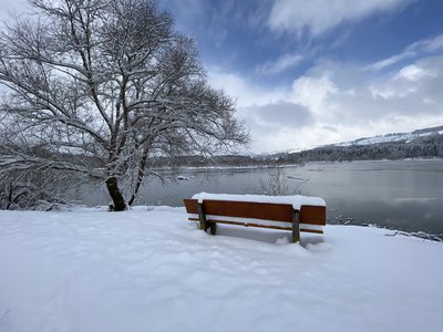 Und immer wieder lockt der See