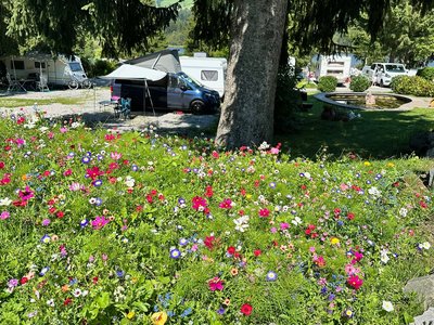 Rundgang durch den Camping-Platz