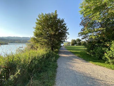 Und immer wieder lockt der See