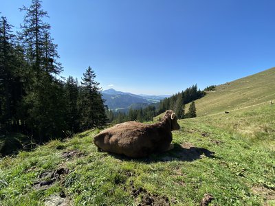 Dem Alltag entfliehen, der Seele freien Lauf lassen