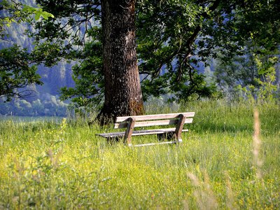 Allgäu in Hülle und Fülle