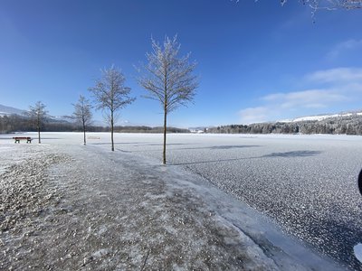 Und immer wieder lockt der See