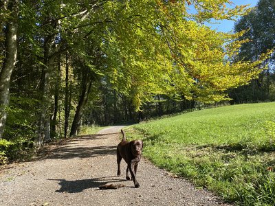 Dem Alltag entfliehen, der Seele freien Lauf lassen