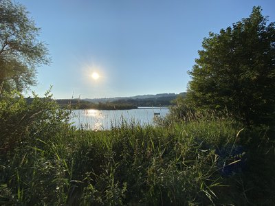 Und immer wieder lockt der See
